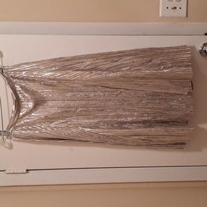 Anthropologie Maeve Shimmer Silvery Tone Girgeous Skirt szO Like New